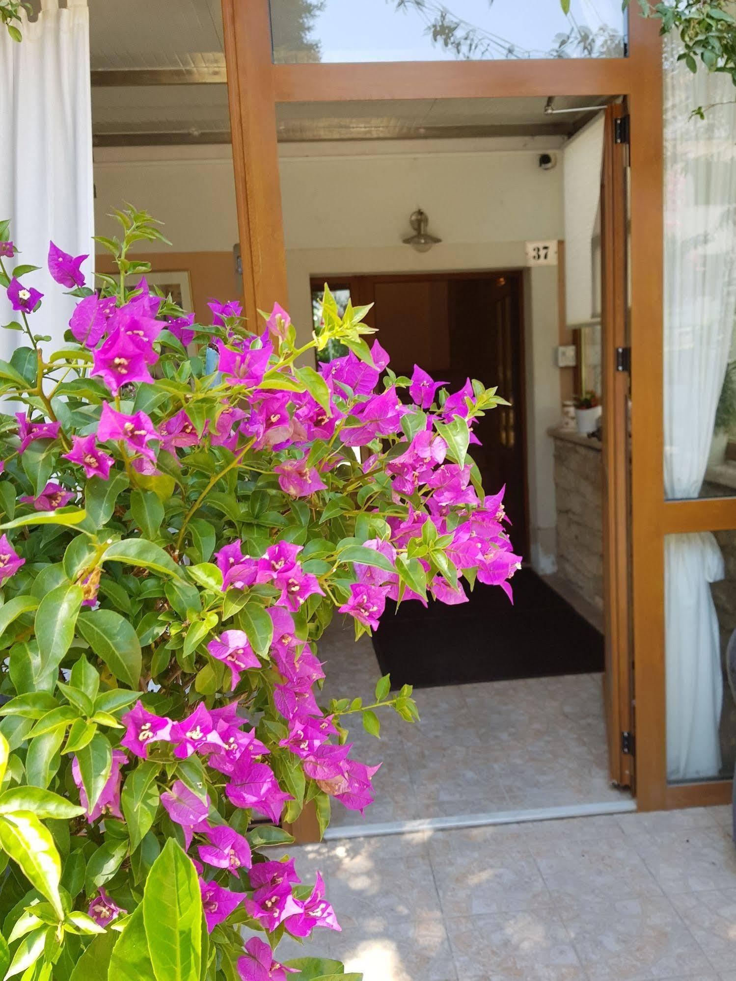 Boutique Hotel Santa Maria Novigrad  Bagian luar foto